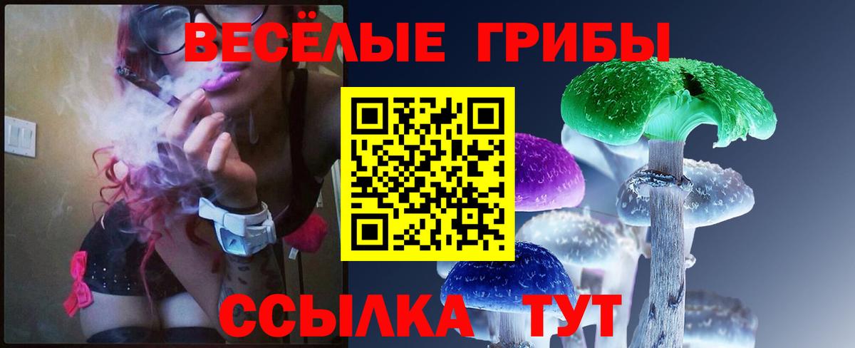 Галлюциногенные грибы Psilocybe  Вход с VPN  Нальчик 